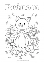 Dessin gratuit Citrouille Fleurs Chat Feuilles Chiens et chats