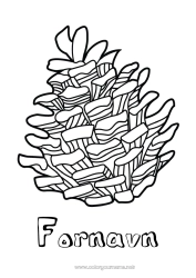 Gratis fargelegging Furucone
