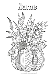 Colouring to customise Pumpkin Flowers Autumn Leaves Sunflower Zentangle