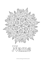 Free colouring Mandala Autumn Leaves