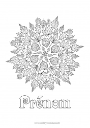 Coloriage gratuit Mandala Automne Feuilles