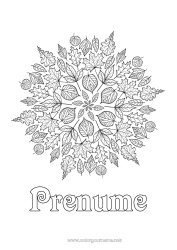 Desen liber de colorat Mandala Toamnă Frunze
