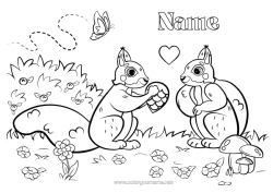 Free colouring Squirrel Butterfly Animal Insects Forest animals Pine cone