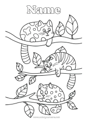 Free colouring Cat Animal Intermediate colouring sheets Dogs and cats