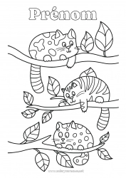 Coloriage gratuit Chat Animal Coloriages intermédiaires Chiens et chats