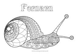 Farvelægningssiden tilpasning Dyr Snegl Komplekse farvelægninger Zentangle