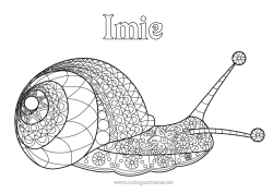 Kolorowanka do personalizacji Zwierzę Ślimak Złożone kolorowanki Zentangle