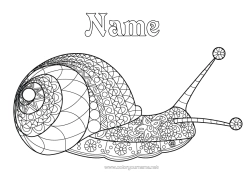 Free colouring Animal Snail Complex colouring pages Zentangle