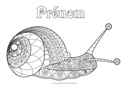 Coloriage gratuit Animal Escargot Coloriages complexes Zentangle
