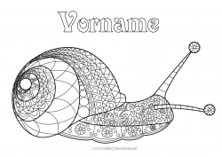 Kostenlose Malvorlage Tier Schnecke Komplexe Ausmalbilder Zentangle