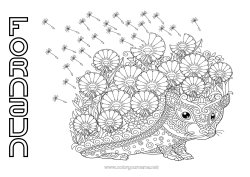 Farvelægningssiden tilpasning Blomster Pindsvin Mandala Efterår Forår Dyr Skovens dyr