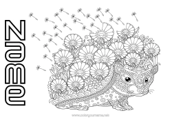 Free colouring Flowers Hedgehog Mandala Autumn Spring Animal Forest animals