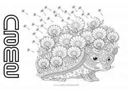 Free coloring Flowers Hedgehog Mandala Autumn Spring Forest animals