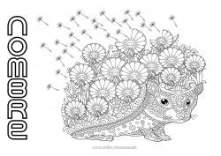 Colorear gratis Flores Erizo Mandala Otoño Primavera Animales Animales del bosque