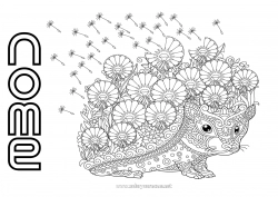 Desenho grátis Flores Ouriço Mandala Outono Primavera Animal Animais da floresta