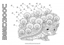 Gratis tekening Bloemen Egel Mandala Herfst Lente Bosdieren