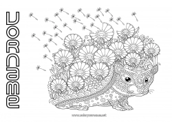 Kostenlose Malvorlage Blumen Igel Mandala Herbst Frühling Tier Waldtiere