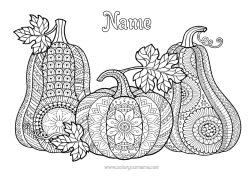Colouring to customise Mandala Autumn Vegetables Squash