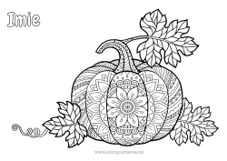 Kolorowanka do personalizacji Dynia Halloween Mandala Jesień Warzywa Dynia