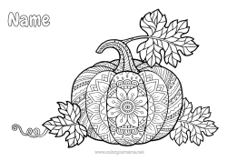Free colouring Pumpkin Halloween Mandala Autumn Vegetables Squash