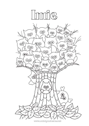 Kolorowanka za darmo Sowa, Puszczyk Zwierzę Drzewo Zentangle Ptaki i latające ssaki