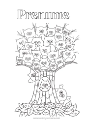 Desen liber de colorat Bufniță, Uluce. Animal Copac Zentangle Păsări și mamifere zburătoare