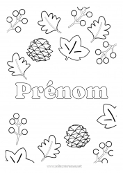 Coloriage gratuit Automne Feuilles Symboles Pomme de pin Sureau