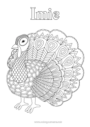 Kolorowanka za darmo Zwierzę Paw Złożone kolorowanki Zentangle Ptaki i latające ssaki