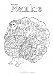 Colorear para personalizar Pavo real Dibujos complejos para colorear Zentangle Aves y mamíferos voladores