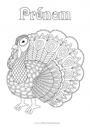 Coloriage à personnaliser Paon Coloriages complexes Zentangle Oiseaux et mammifères volants