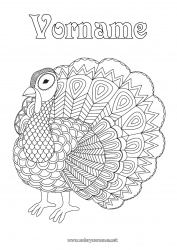 Kostenlose Malvorlage Tier Pfau Komplexe Ausmalbilder Zentangle Vögel und fliegende Säugetiere