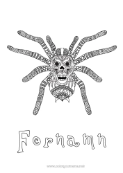 Gratis färgläggning Spindel Djur Zentangle Insekter