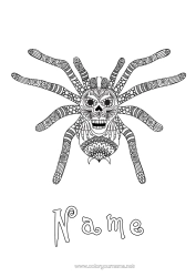 Free colouring Spider Animal Zentangle Insects