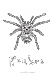 Colorear gratis Araña Animales Zentangle Insectos