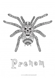 Coloriage gratuit Araignée Zentangle Insectes