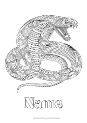 Colouring to customise Animal Snake Complex Colouring Pages Zentangle Reptiles