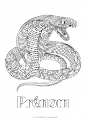 Coloriage à personnaliser Serpent Coloriages complexes Zentangle Reptiles