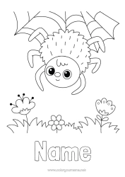 Colouring to customise Spider Animal Insects Cobweb