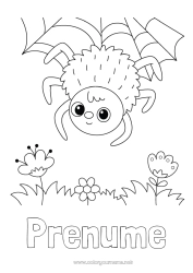 Pagină de colorat gratuită Păianjen Animal Insecte Pânză de păianjen