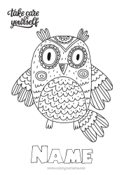 Free colouring Calm and zen Ill Mandala Owl, Tawny owl Animal Birds and flying mammals