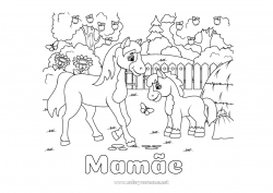 Página de desenho infantil Cavalo Animal Fazenda Frutas Animais de fazenda Maçã Pônei