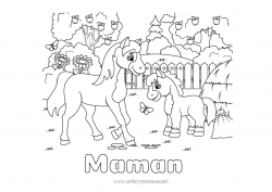 Coloriage enfant Cheval Animal Ferme Fruits Animaux de la ferme Pomme Poney