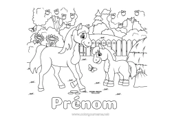 Coloriage gratuit Cheval Animal Ferme Fruits Animaux de la ferme Pomme Poney