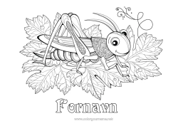 Gratis tegning Dyr Komplekse farvelægninger Zentangle Insekter Cikade