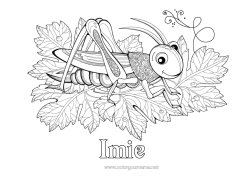Rysunek za darmo Zwierzę Złożone kolorowanki Zentangle Owady Syrena