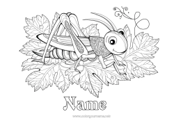 Free coloring Animal Complex coloring pages Zentangle Insects Cicadas