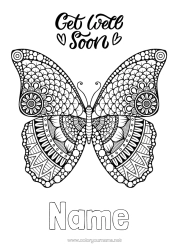 Free colouring Calm and zen Ill Mandala Butterfly Animal Insects