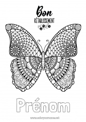 Coloriage à personnaliser Calme et zen Malade Mandala Papillon Animal Insectes