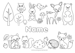 Free drawing Bear Hedgehog Squirrel Autumn Fox Owl Bunny Animal Tree Flying birds and mammals Forest animals Beaver Acorn Deer