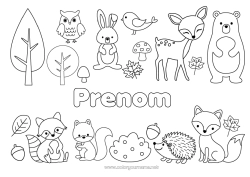 Coloriage gratuit Ours Hérisson écureuil Automne Renard Chouette, Hibou Lapin Animal Arbre Oiseaux et mammifères volants Animaux de la forêt Castor Gland Cerf